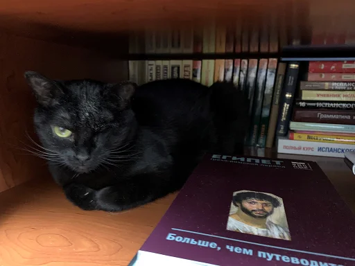 SonyaZolotoiGlazik 24