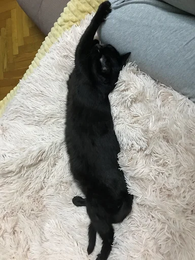 SonyaZolotoiGlazik 25