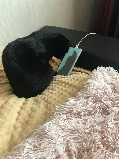 SonyaZolotoiGlazik 26