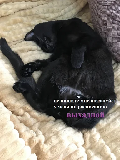 SonyaZolotoiGlazik 28