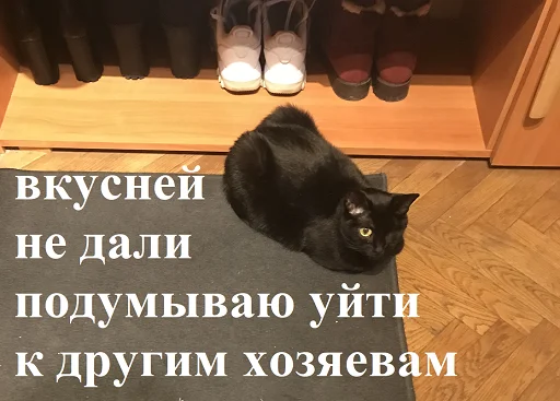 SonyaZolotoiGlazik 29