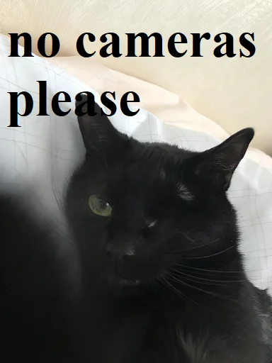 SonyaZolotoiGlazik 32