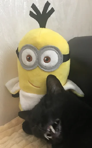 SonyaZolotoiGlazik 33