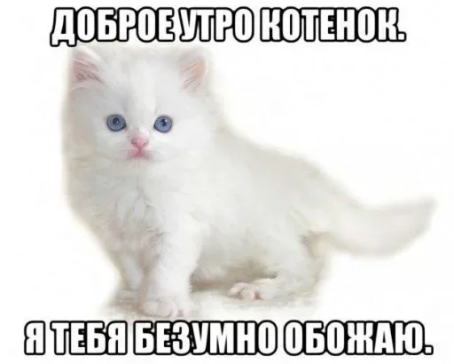 TMHRIJSSAY_by_stikeri_stikeri_bot 17