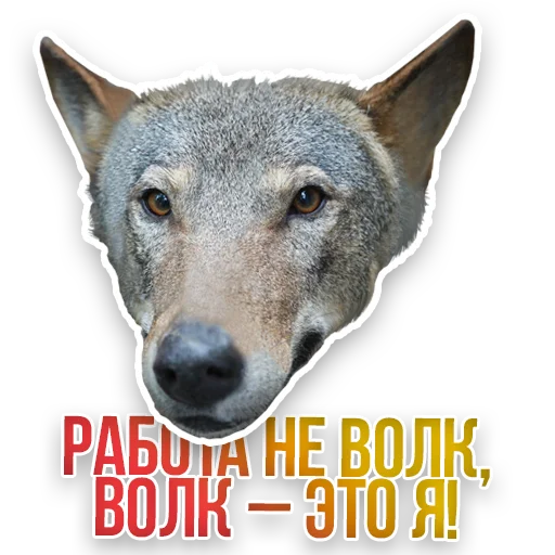 WildAnimals_KGH_Moscow 7