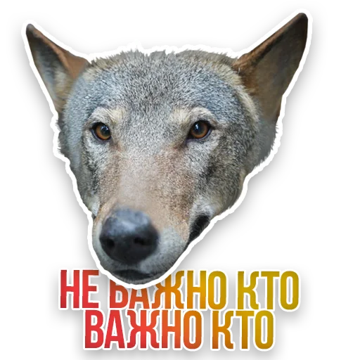 WildAnimals_KGH_Moscow 8