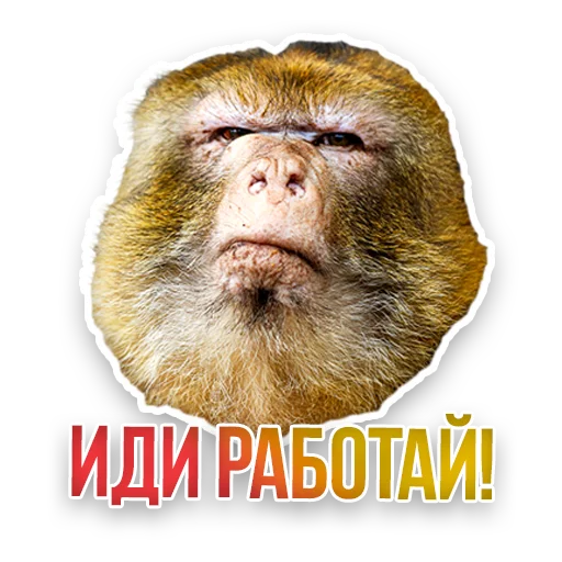 WildAnimals_KGH_Moscow 12