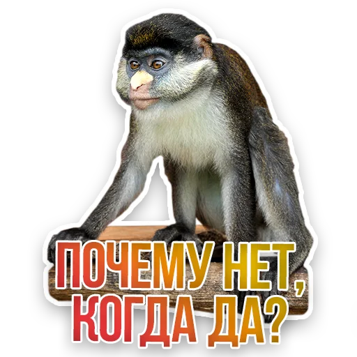 WildAnimals_KGH_Moscow 14