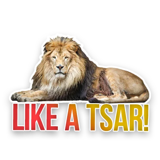 WildAnimals_KGH_Moscow 15