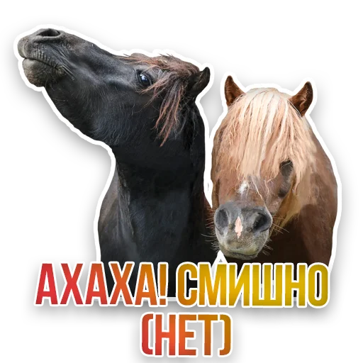 WildAnimals_KGH_Moscow 19