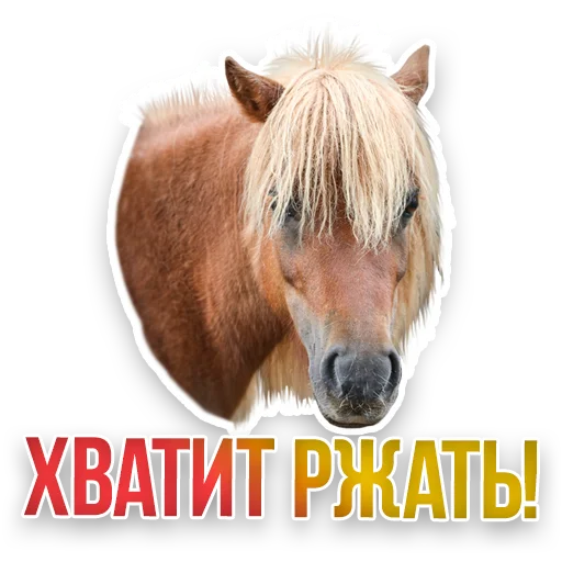 WildAnimals_KGH_Moscow 20