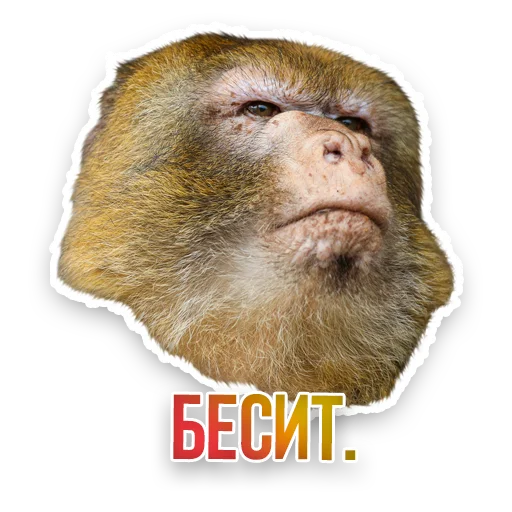 WildAnimals_KGH_Moscow 22