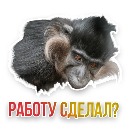 WildAnimals_KGH_Moscow 25