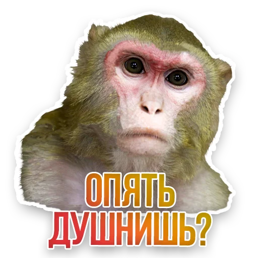 WildAnimals_KGH_Moscow 29