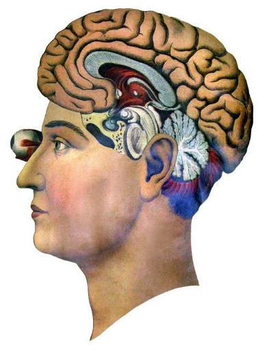 ZolotoyVekISKUSTVO 7