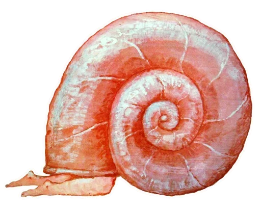 ZolotoyVekISKUSTVO 21