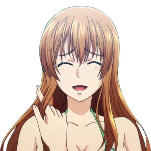 animefanf 10