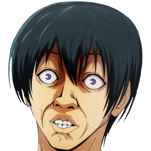 animefanf 15
