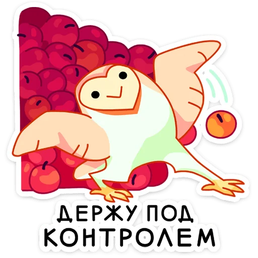 applevk 24