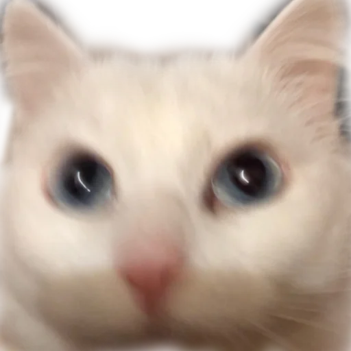 aristokratcat 7