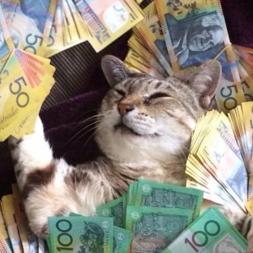 brokencats2 20