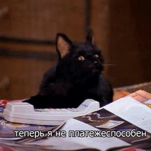 brokencats2 26