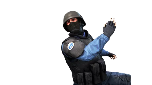 csgoterrorist 8