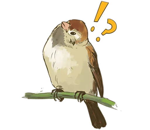 ebushekVorobushek 10