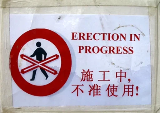 erectioninprogress 23