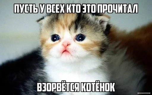 explosivekitts 9