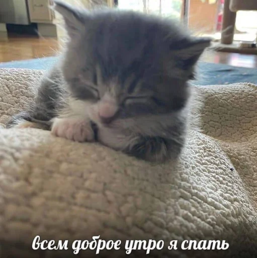 explosivekitts 12