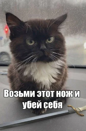 explosivekitts 13