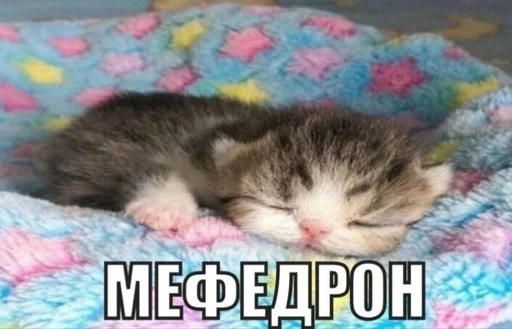 explosivekitts 14