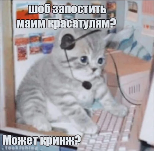 explosivekitts 17