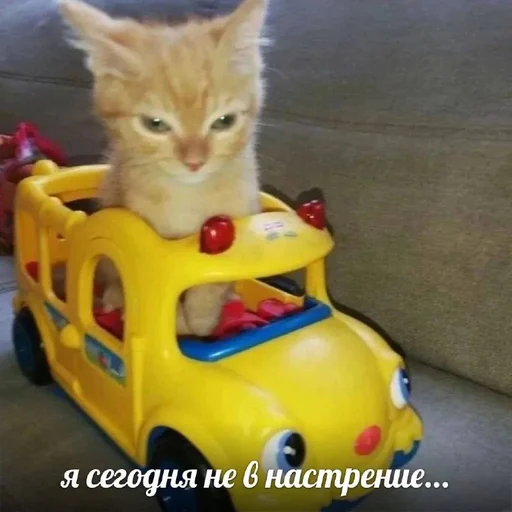 explosivekitts 18