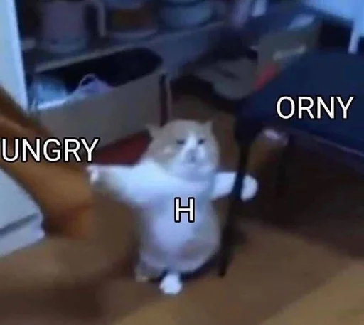 explosivekitts 25
