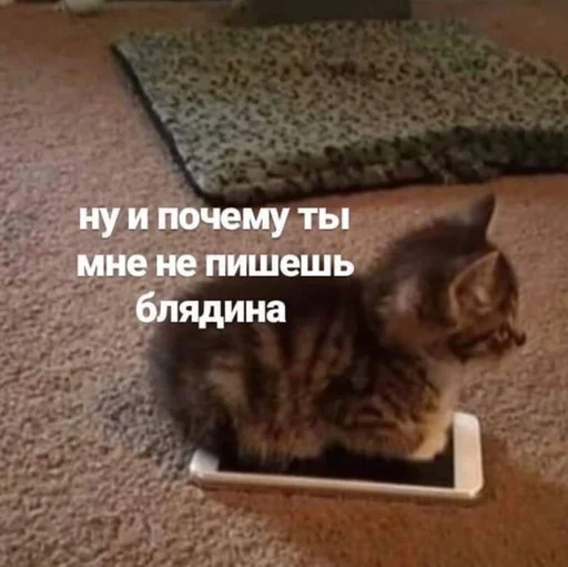 explosivekitts 27