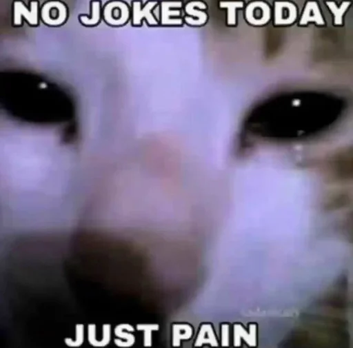 explosivekitts 32