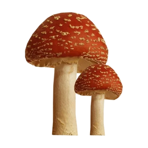 feelteqa_by_fStikBot 8