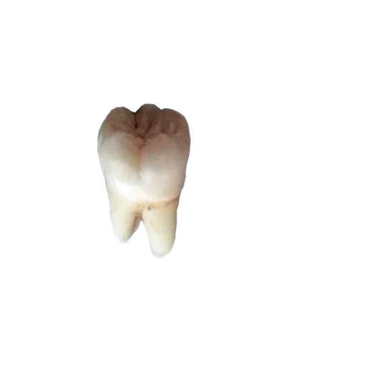 feelteqa_by_fStikBot 12