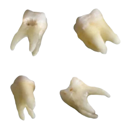 feelteqa_by_fStikBot 25