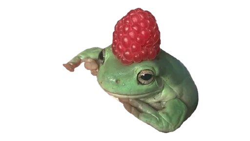 feelteqa_by_fStikBot 31