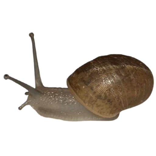 feelteqa_by_fStikBot 33