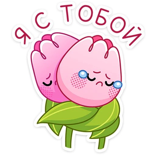 floryvk 11