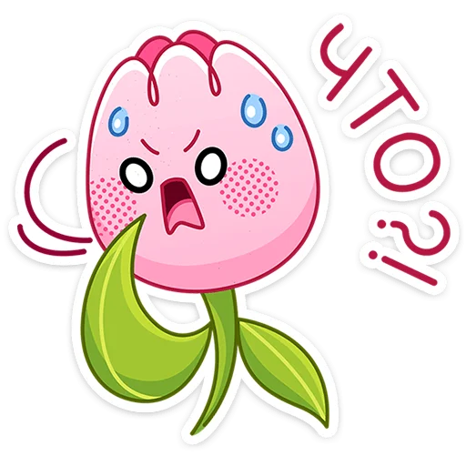 floryvk 12