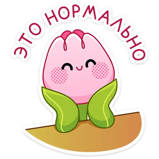 floryvk 33