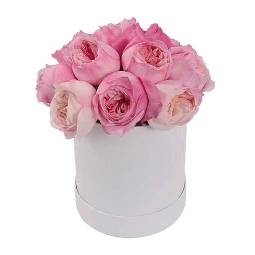 flowersvip 8