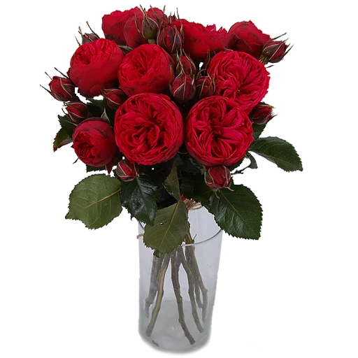 flowersvip 11