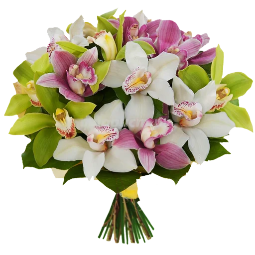 flowersvip 14