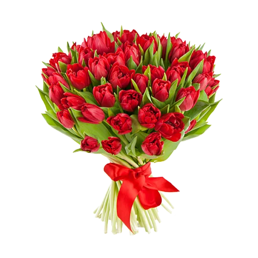 flowersvip 16